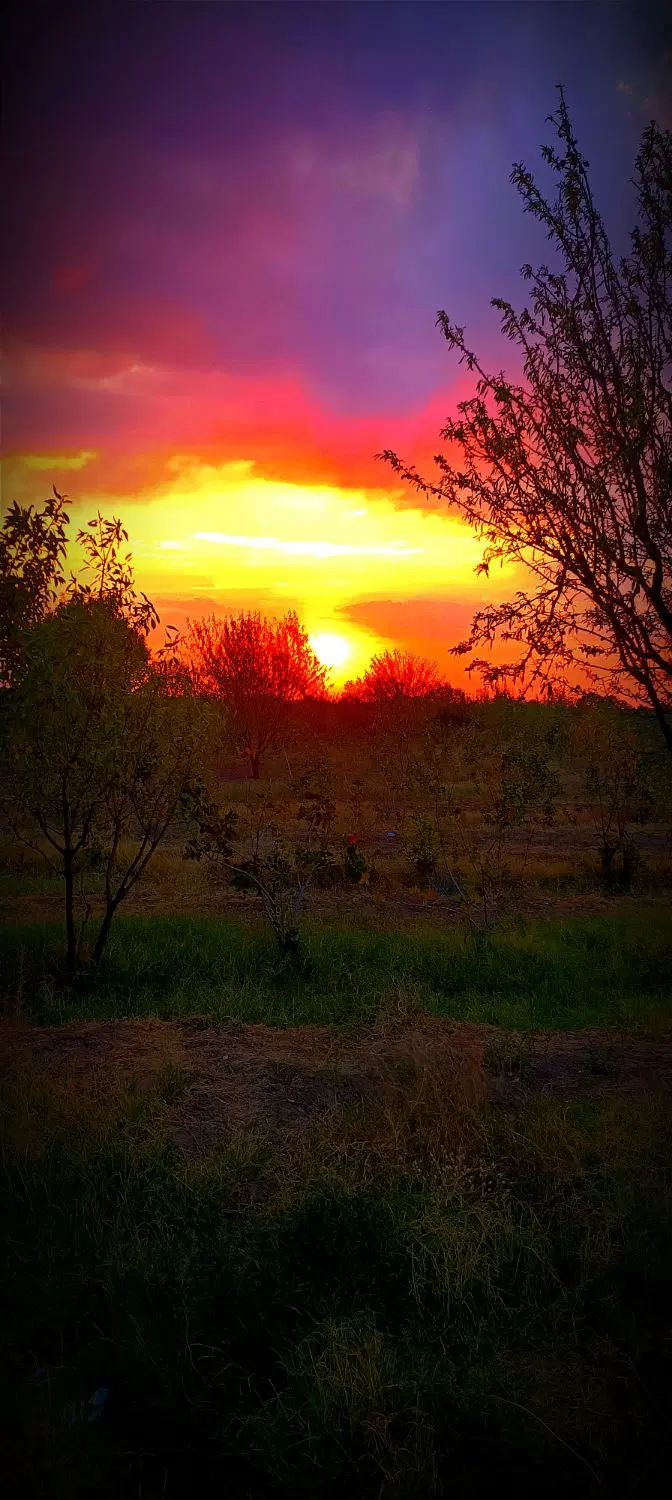 زمین برای خونه باغ روستا عرب اباد