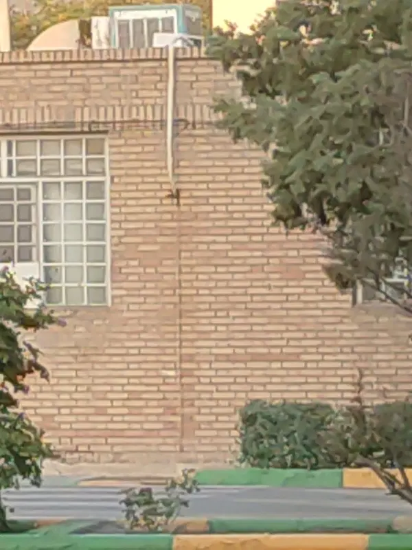 زمین ویلایی