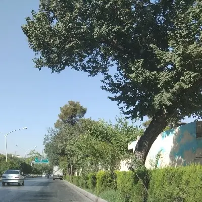 رهن واجاره منزل بلوار وفایی
