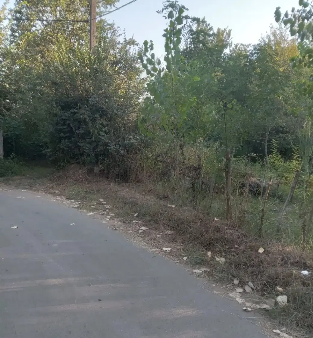 زمین‌مسکونی