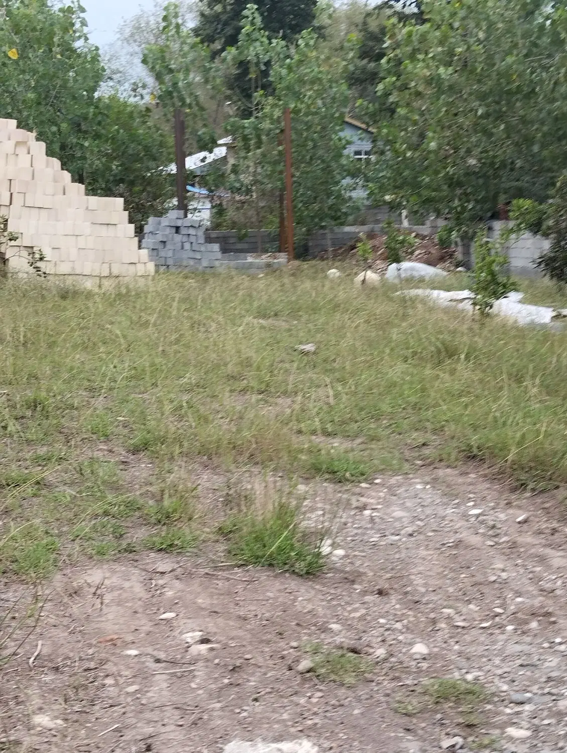 زمین ۵۰۰ متری