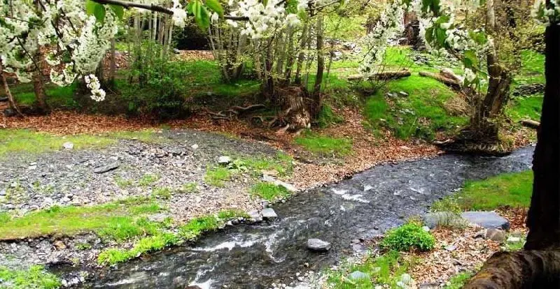 خانه ویلایی