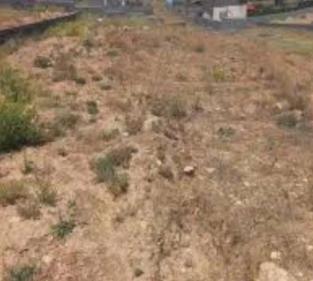 ۸۲۰ متر زمین دوبر  چنار غرب