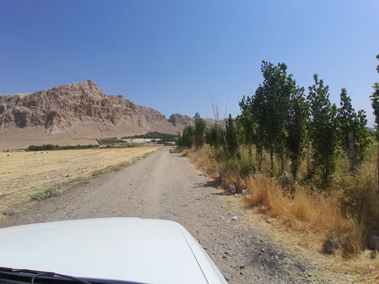 ۱۰۰۰متر زمین باغی