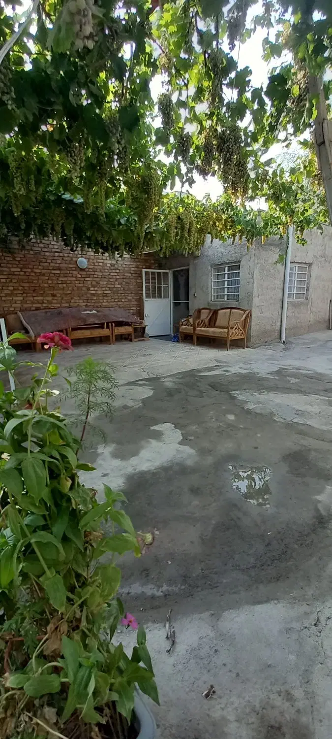باغ ۶۳۰ متر