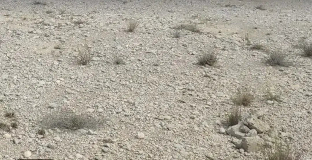 زمین حمیری ۲۵۰ متربامجوزدوبلکس