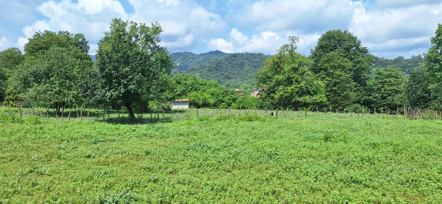 زمین کشاورزی