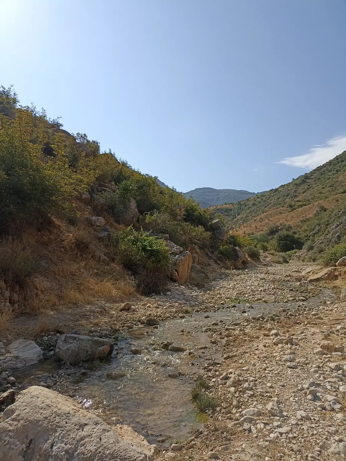زمین در جنت