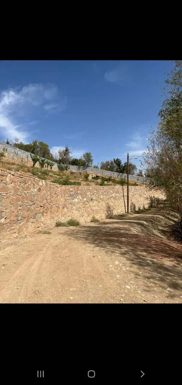 فروش باغ