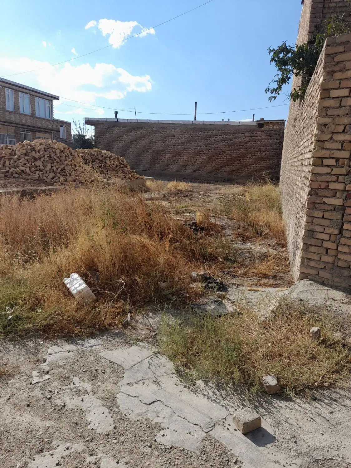 زمین