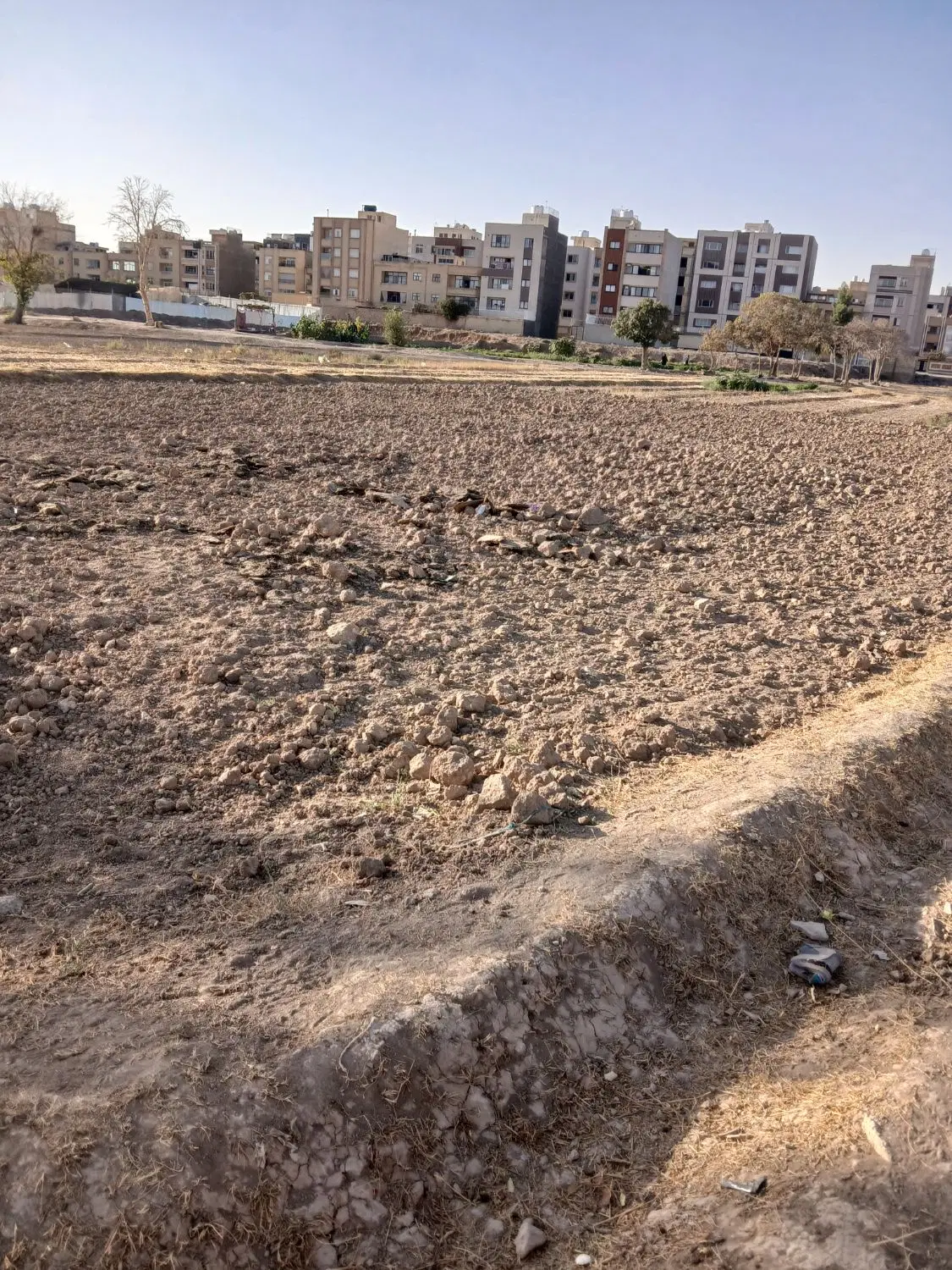 زمین کشاورزی