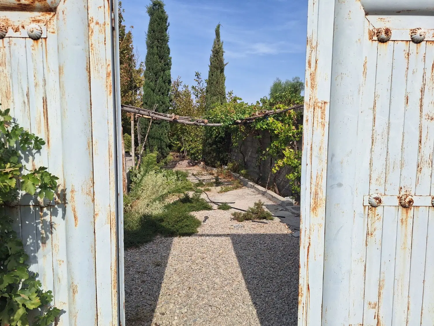باغ شهری