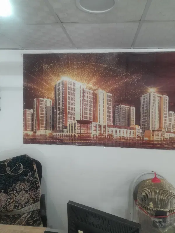درخشش ۱۲