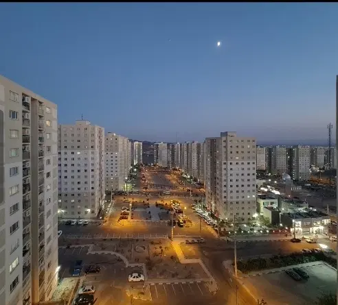 فروش کوزو تک خواب فوری