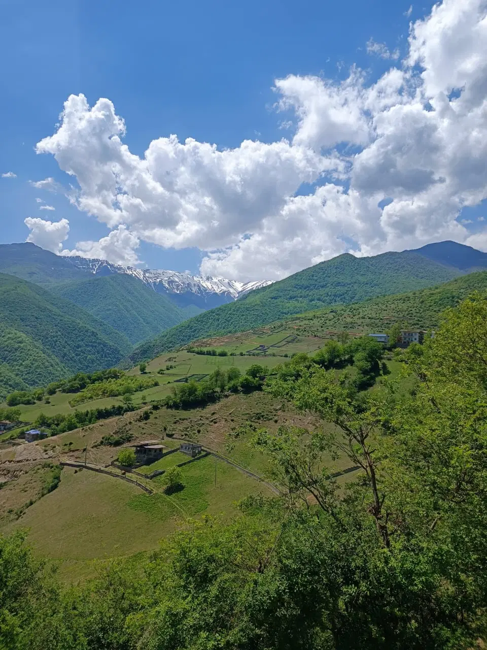زمین