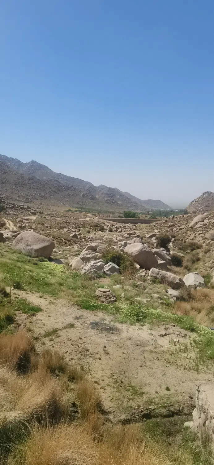 زمین 310 متری در دل باغات نیر زیبا با ویوی کم نظیر