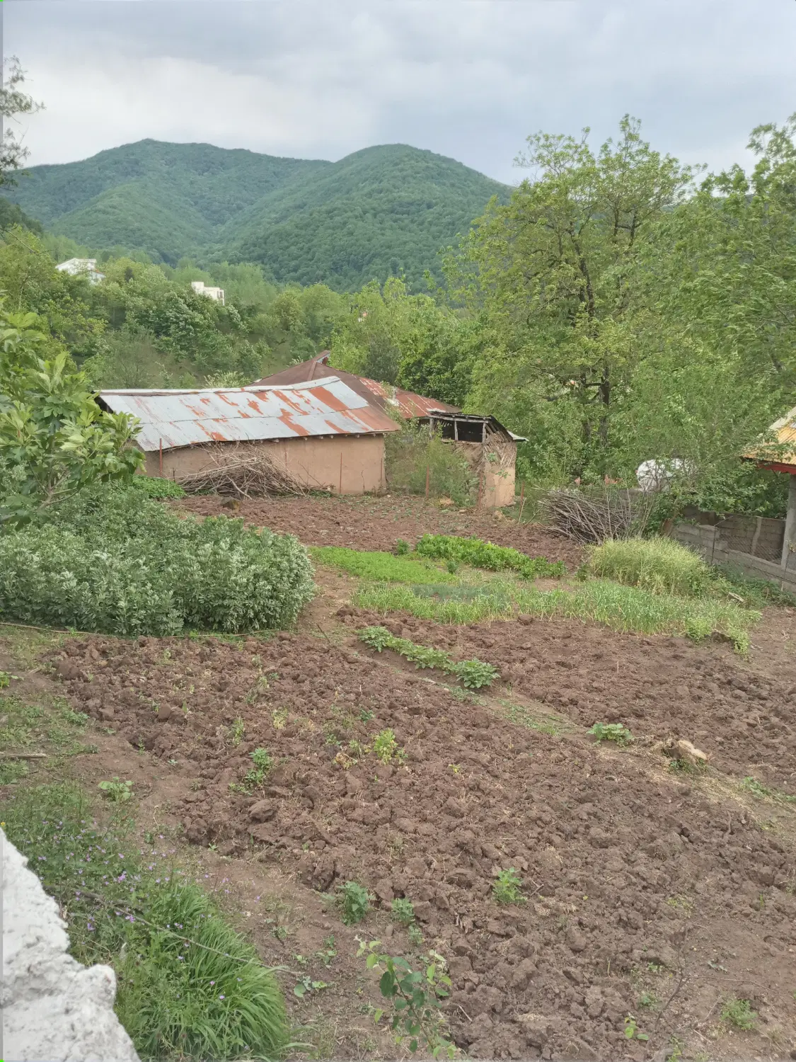 زمین مسکونی کامل