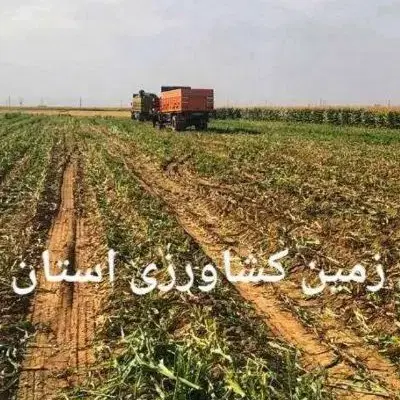 سوله چهار دیواری