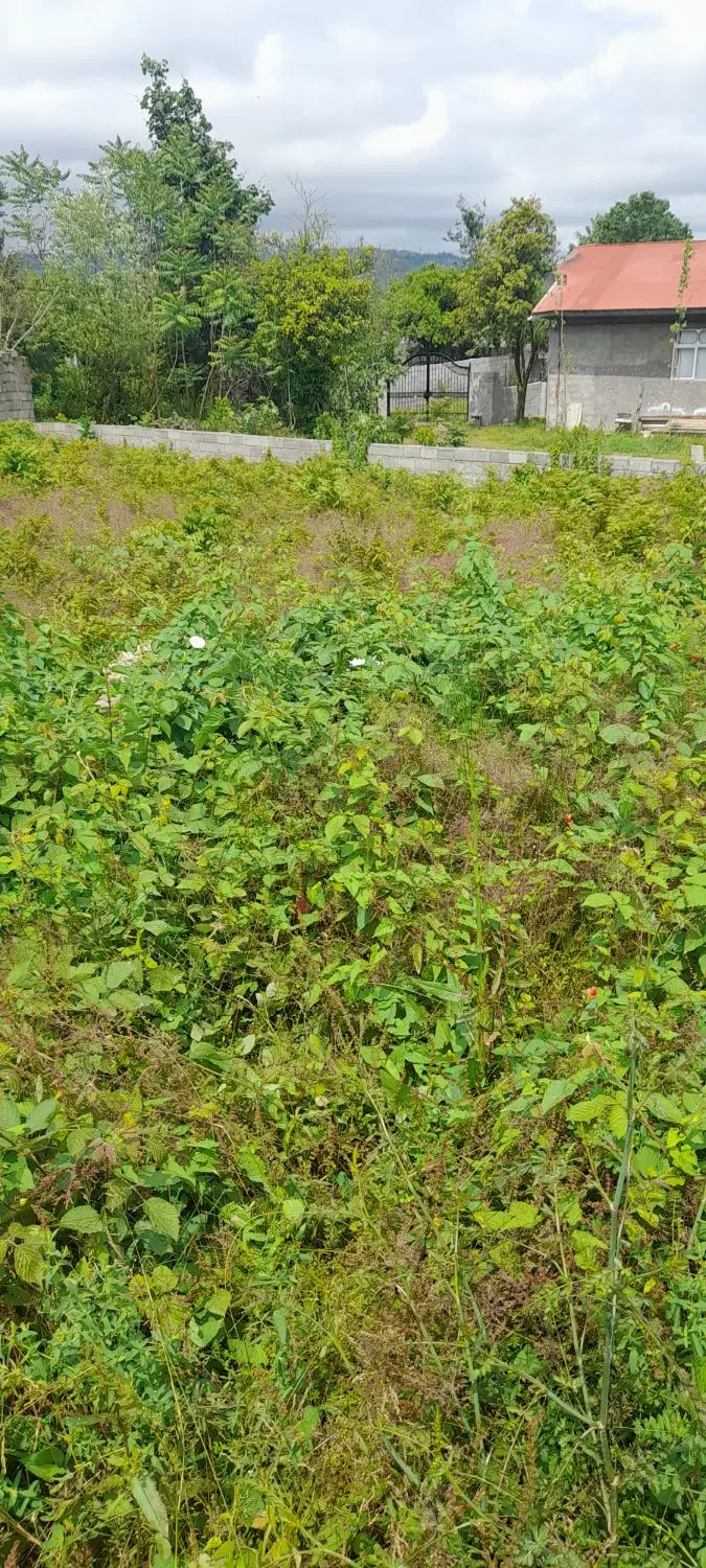 زمین مسکونی مناسب ویلا سازی
