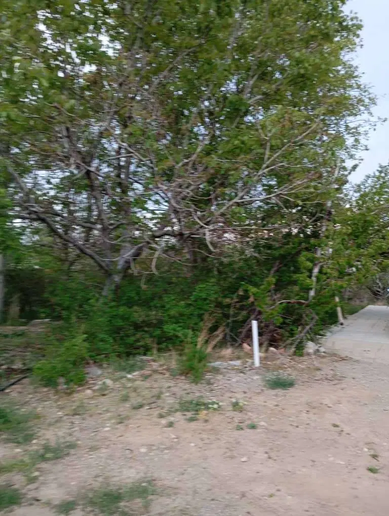۱۲ قصب زمین مسکونی درب بهشت