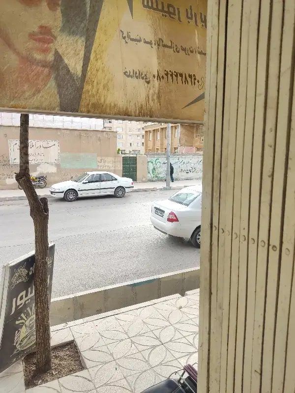 زمین بهشت رضا