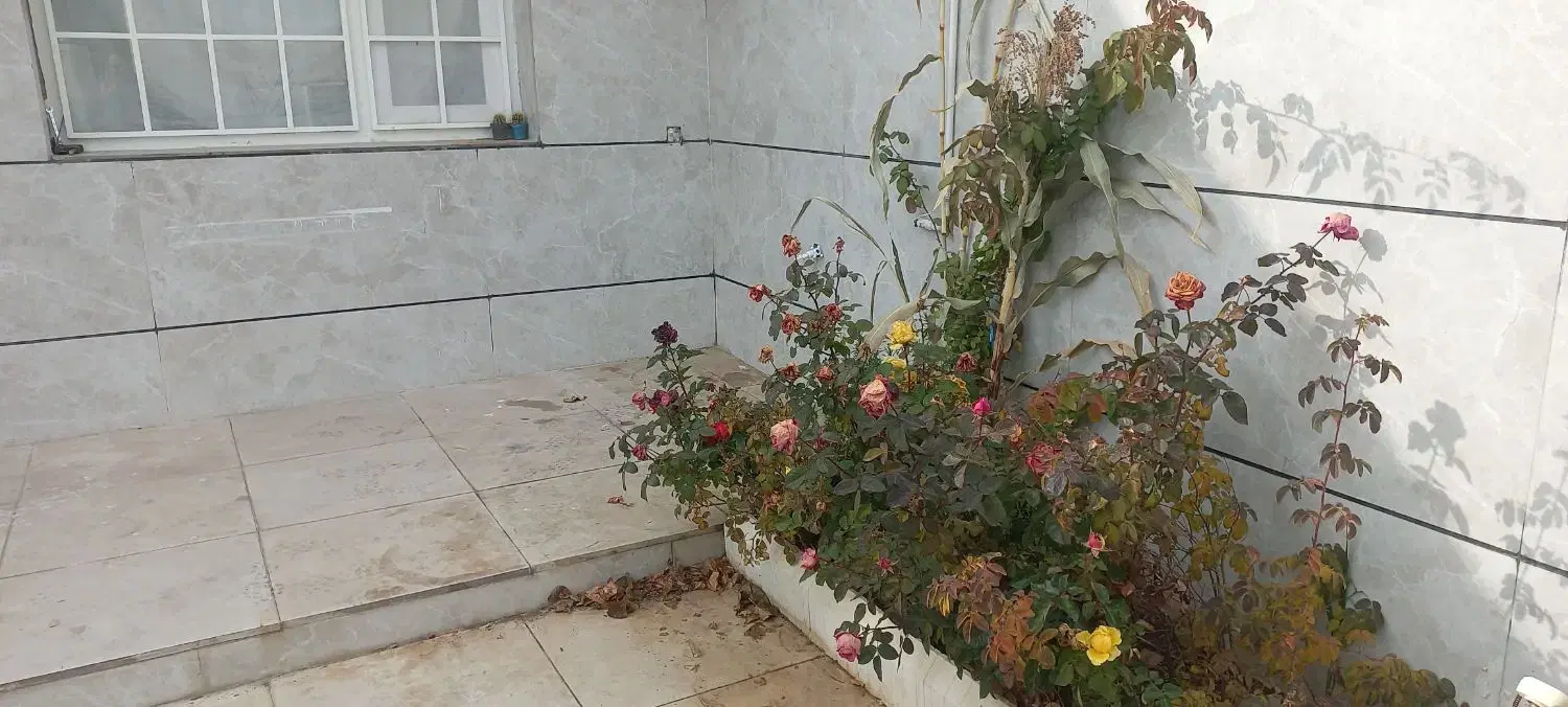 محمودآباد نمونه،ویلایی،۲۱۰ متر