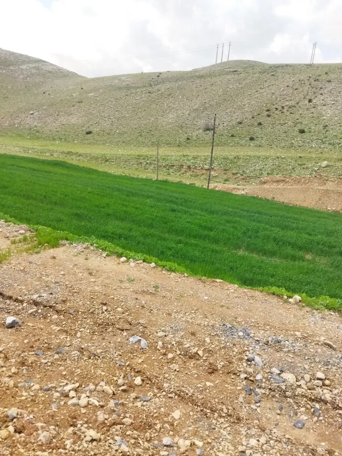زمین