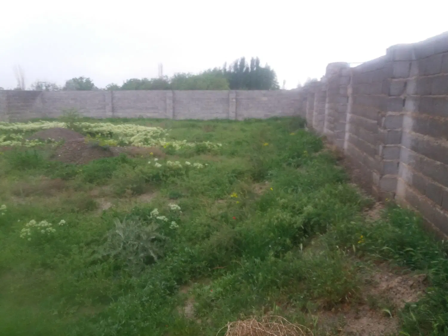 زمین باغی و ویلایی