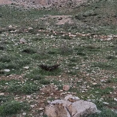 زمین واگذاری فرهنگیان