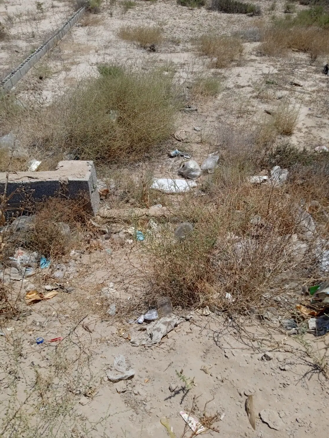 زمین فروشی