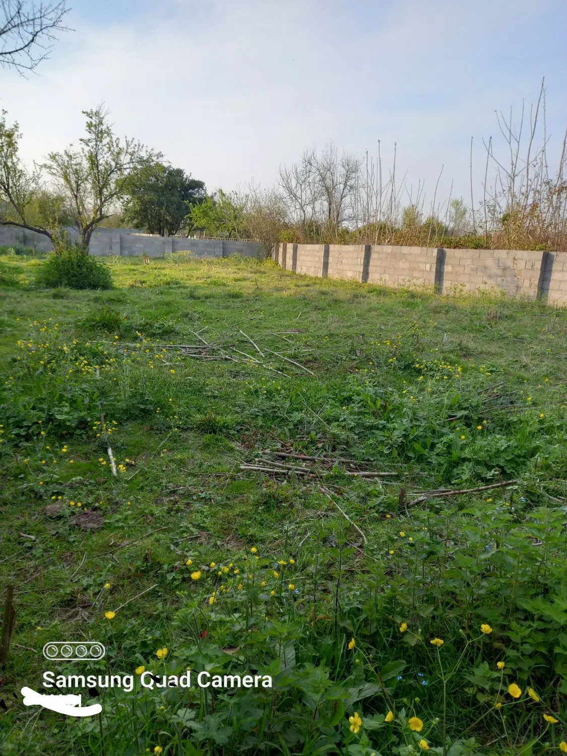 زمین مسکونی