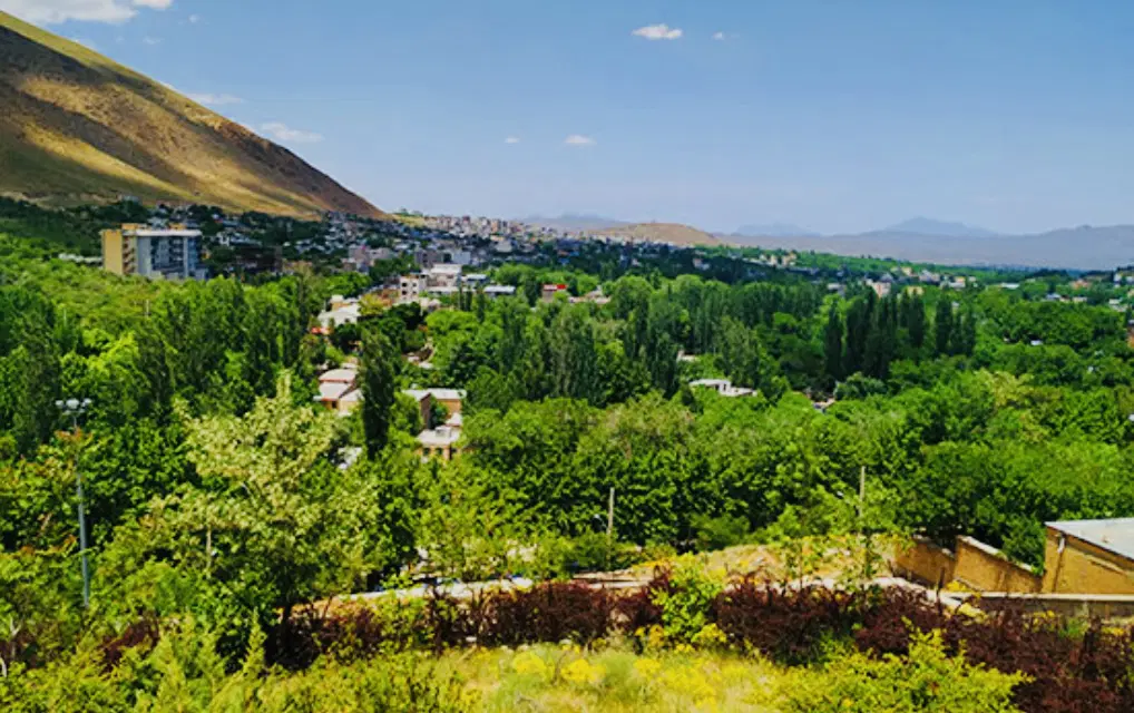 ۵ هکتار زمین زراعی ، ۸ هزار متر باغ فوری فروشی