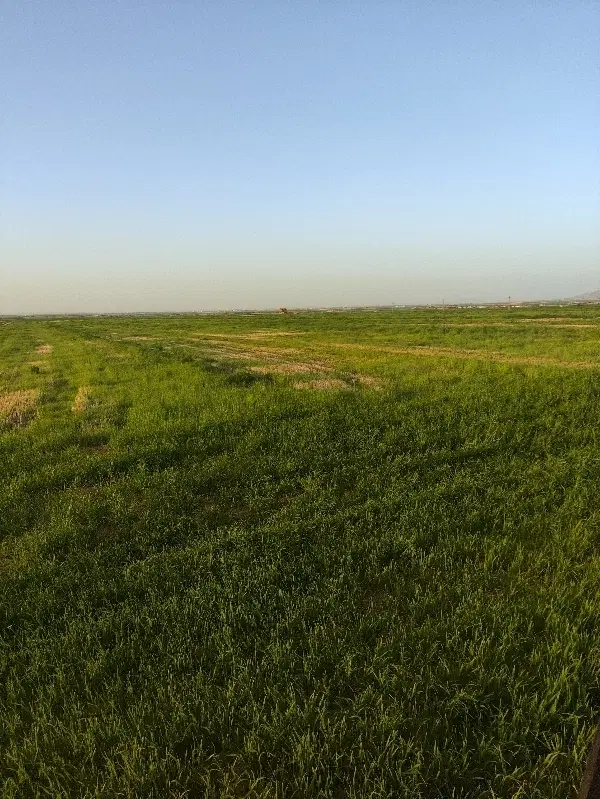 زیک قطعه زمین