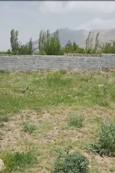یک قطعه زمین باغداری