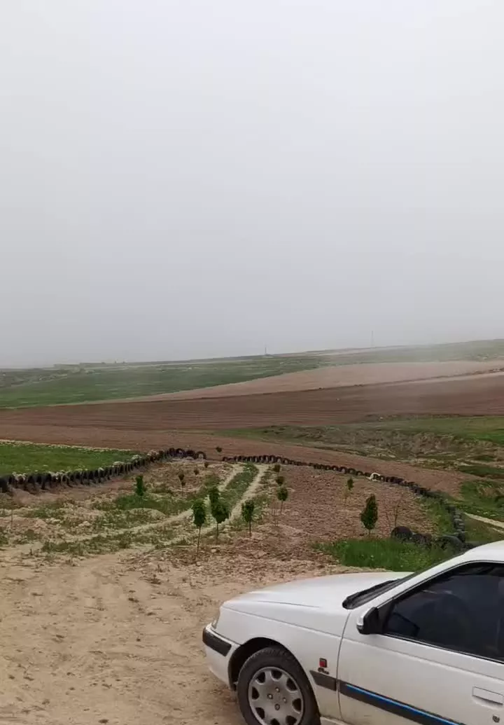 باغچه نقلی مهنان