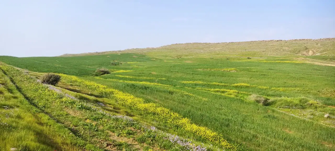 1700متر