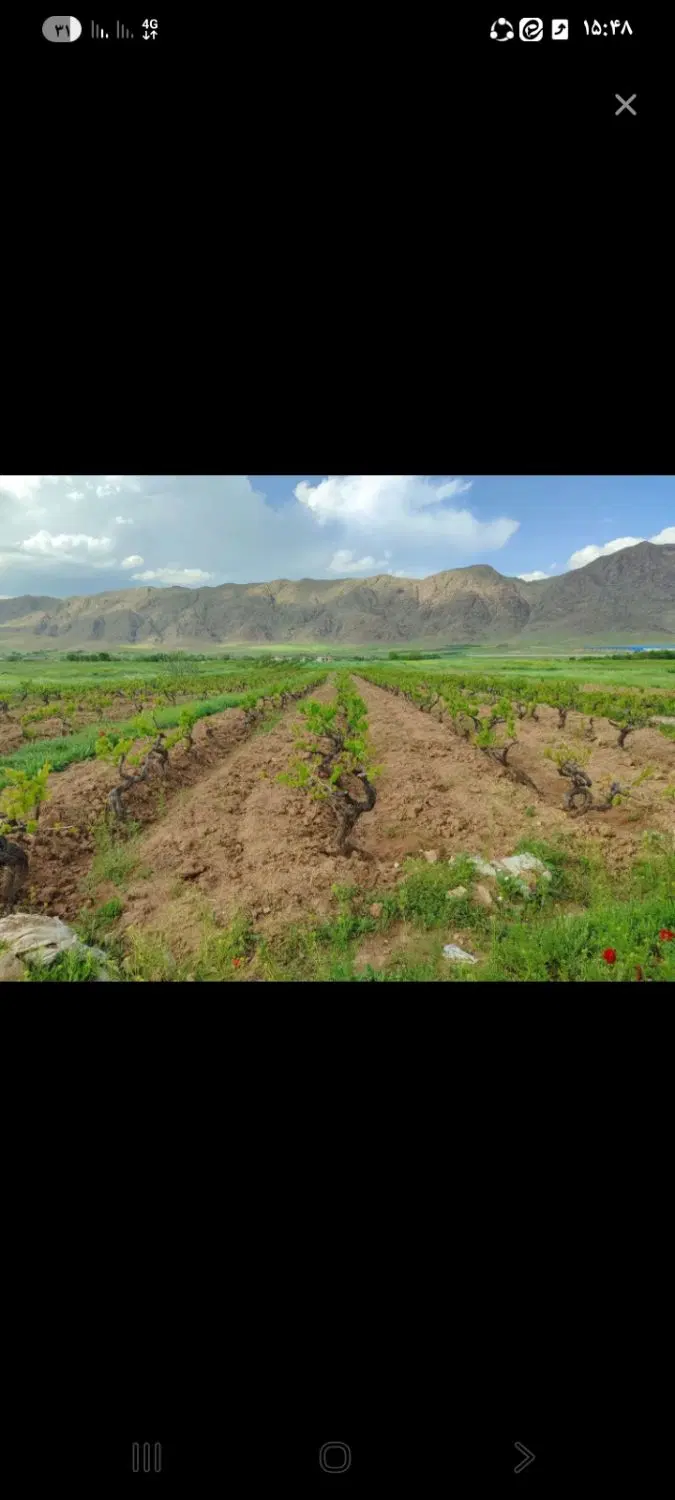 زمین باغ کمالوند