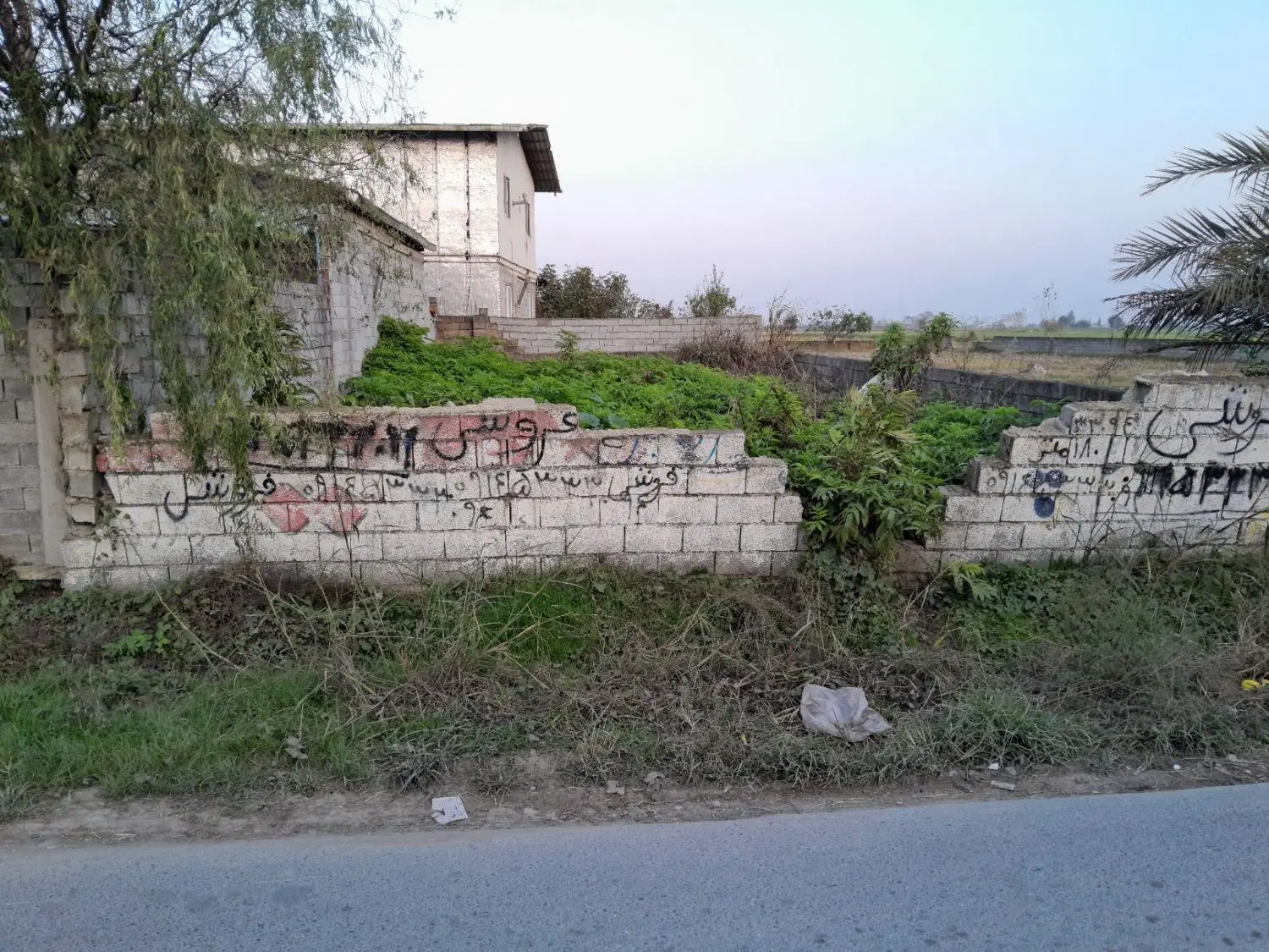 فروش زمین در بالا احمد کلا