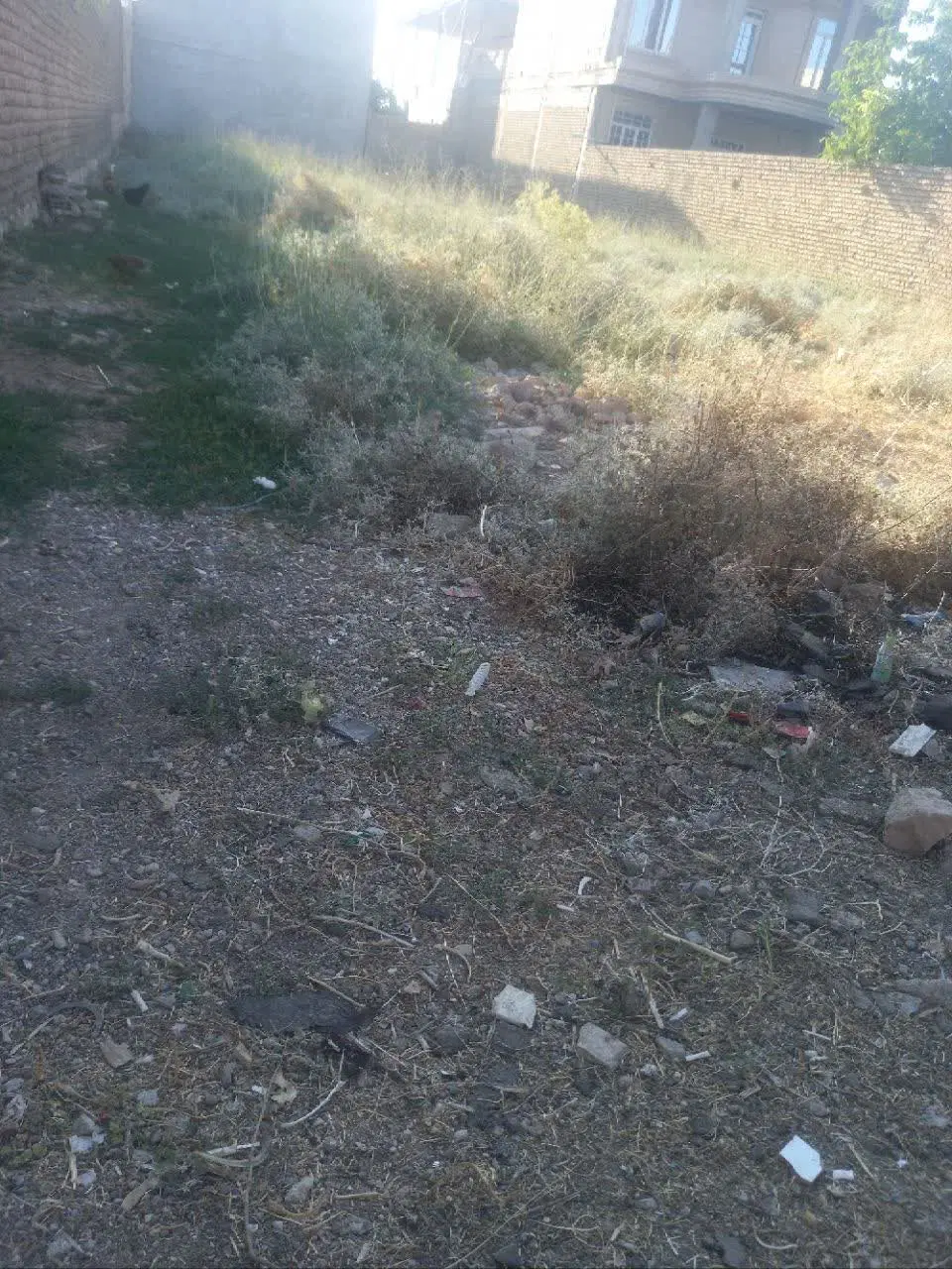 زمین تلوری علیا ور جاده اصلی