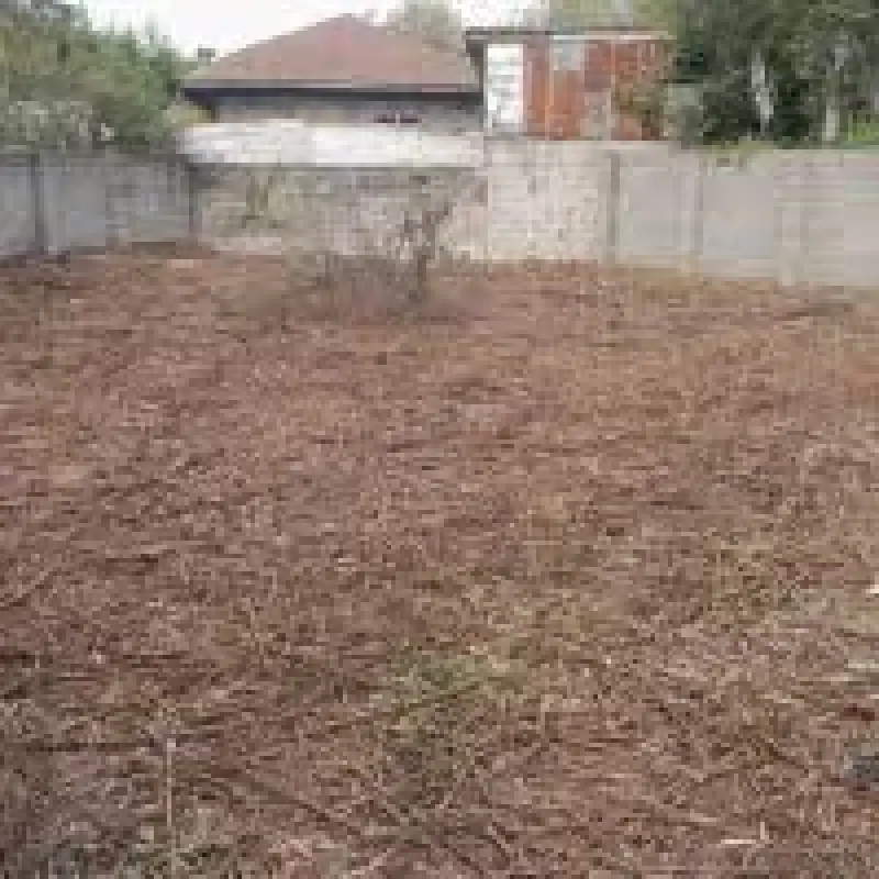 فروش یک قطعه زمین باغی با مجوز ساخت خانه