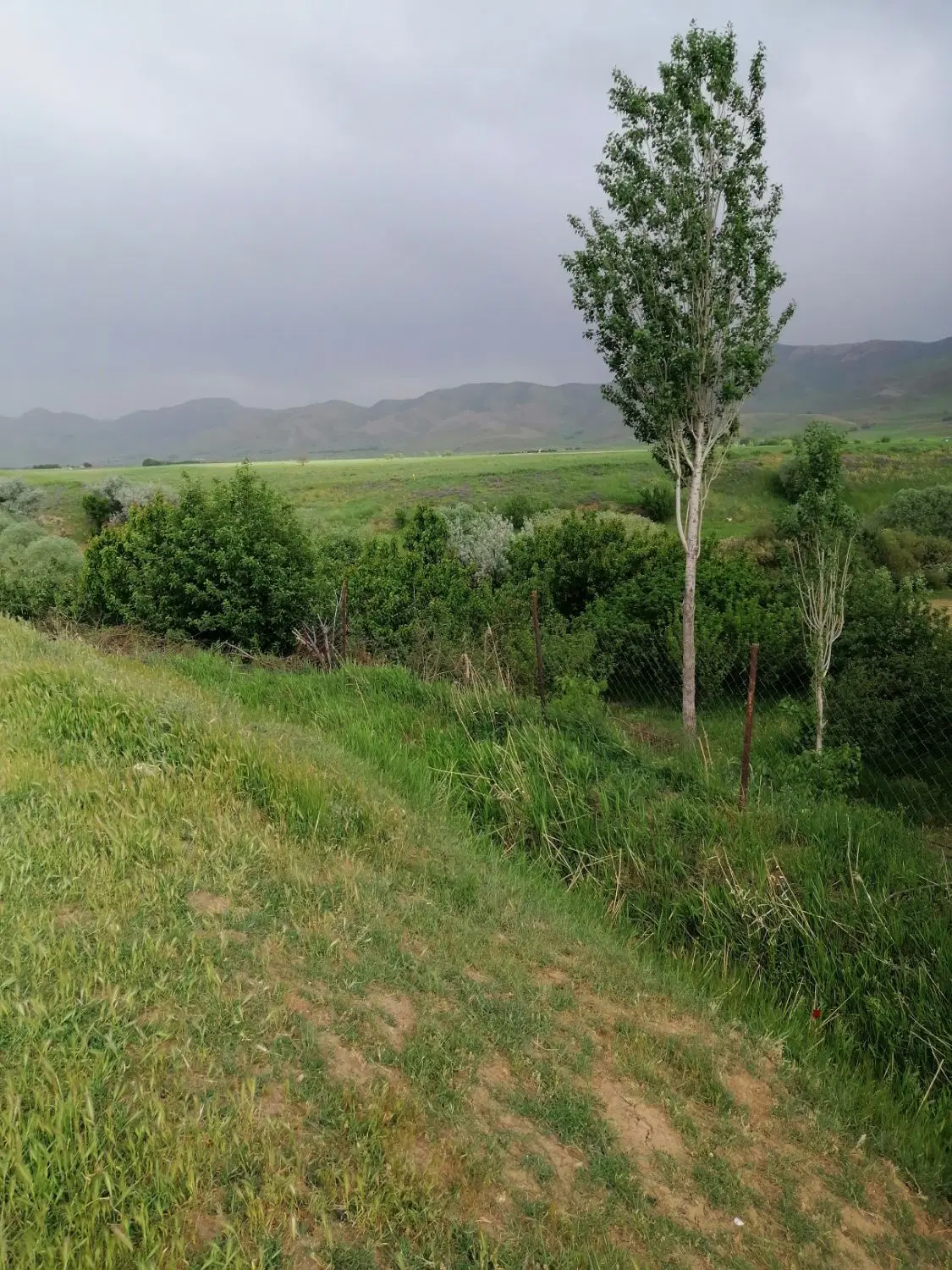 باغ و زمین خالی روستای امیراباد(موچش)