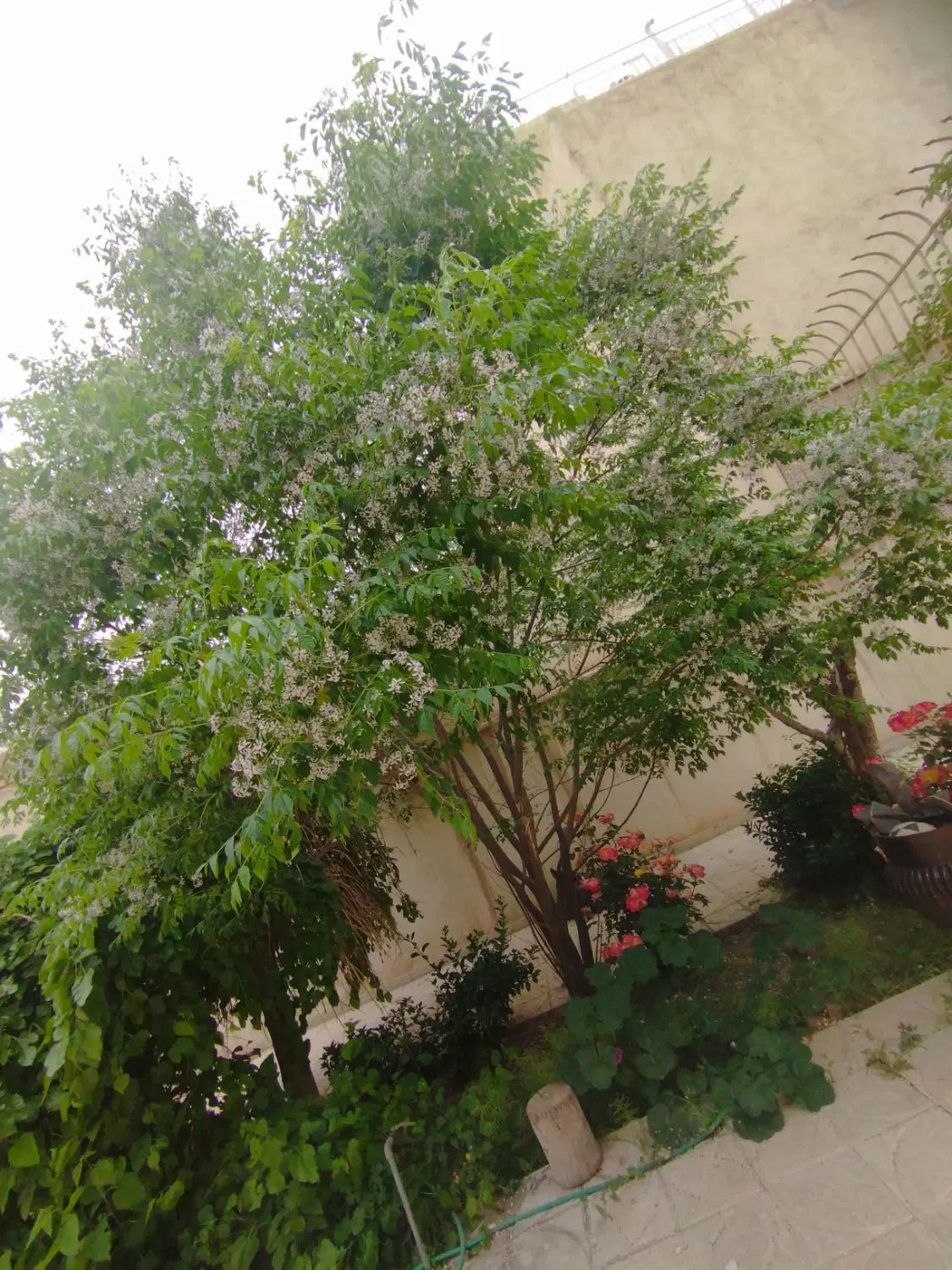 فروش منزل ویلایی