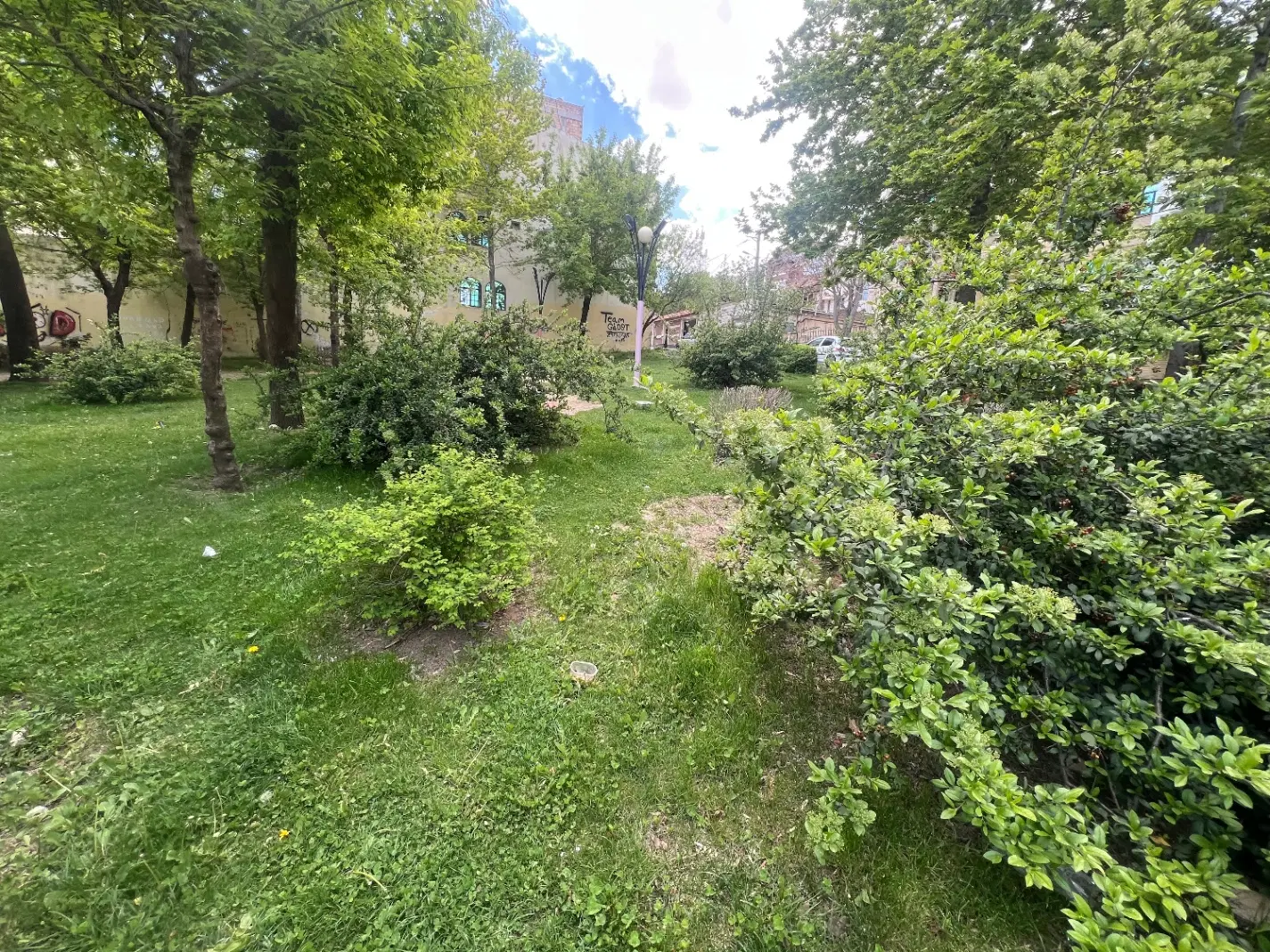 باغ مشجر امامزاده تک برگ
