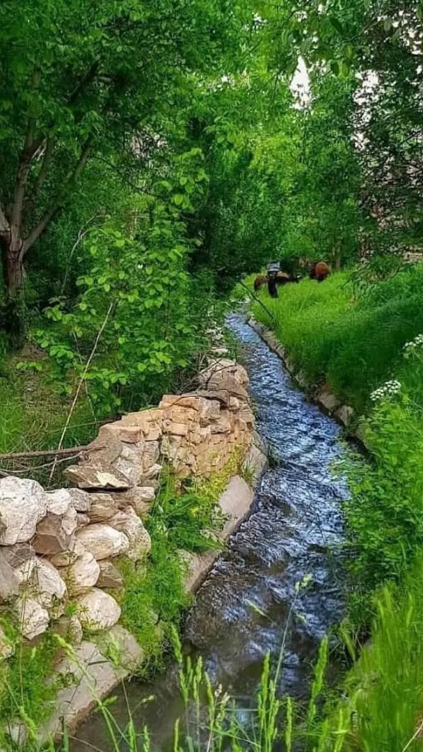 فروش زمین علی آباد کلنگان
