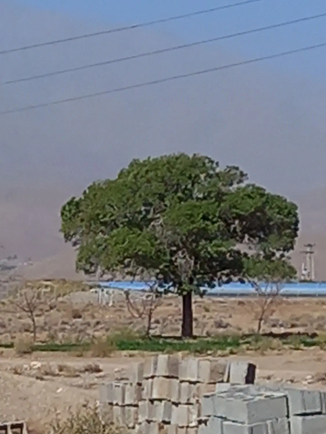 زمین فروشی روستای سکنج