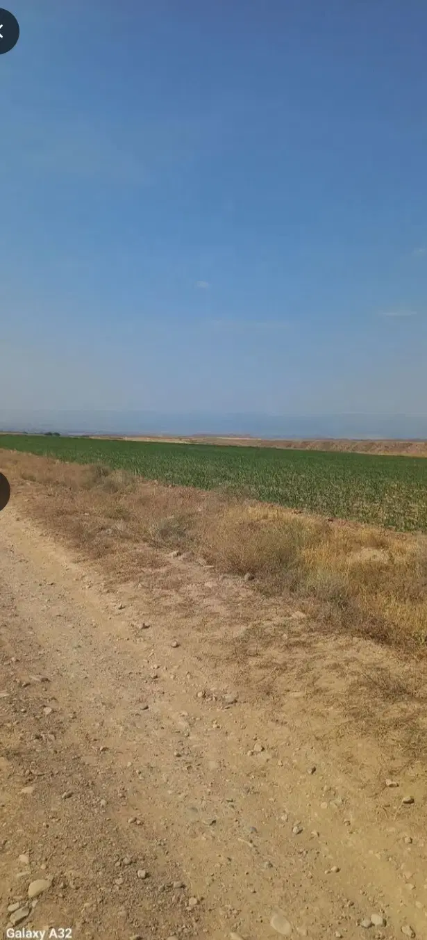 زمین کشاورزی