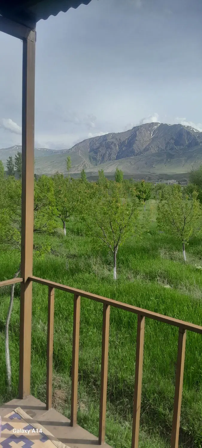 فروش باغ مابین کشمش تپه و کمربندی