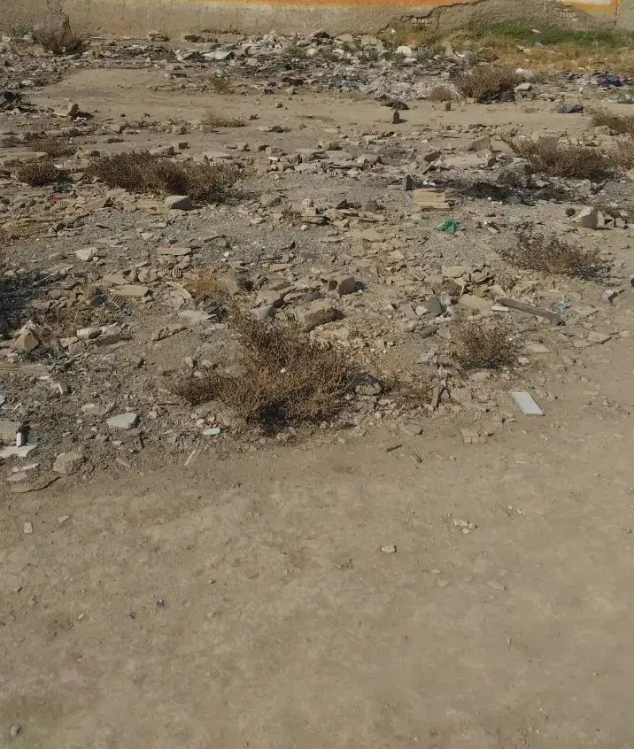 زمین ایرین
