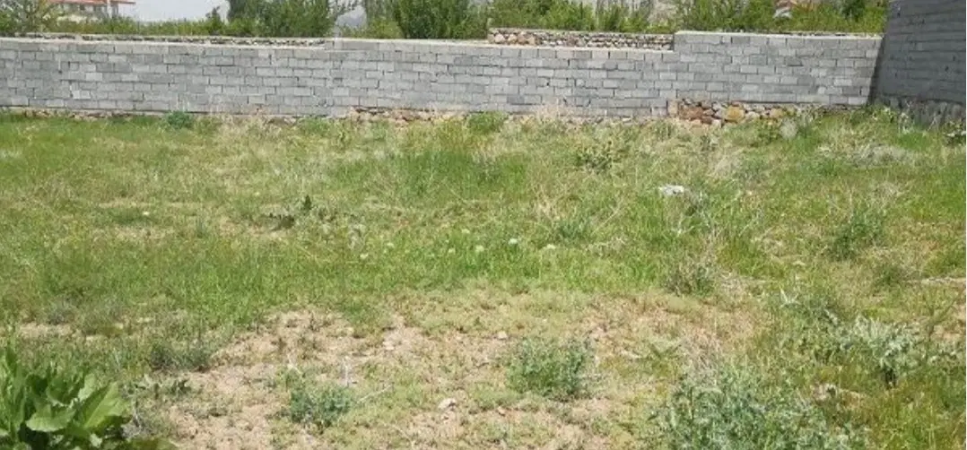 زمین