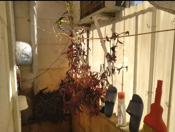 رهن و اجاره آپارتمان خیابان بهار ۷۰ متری